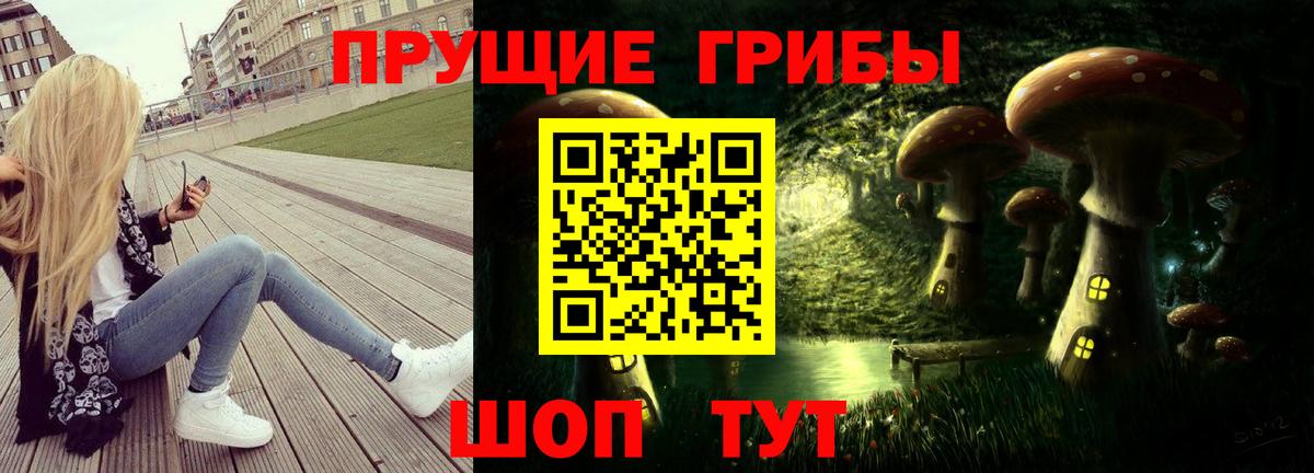 Псилоцибиновые грибы Psilocybine cubensis Городец